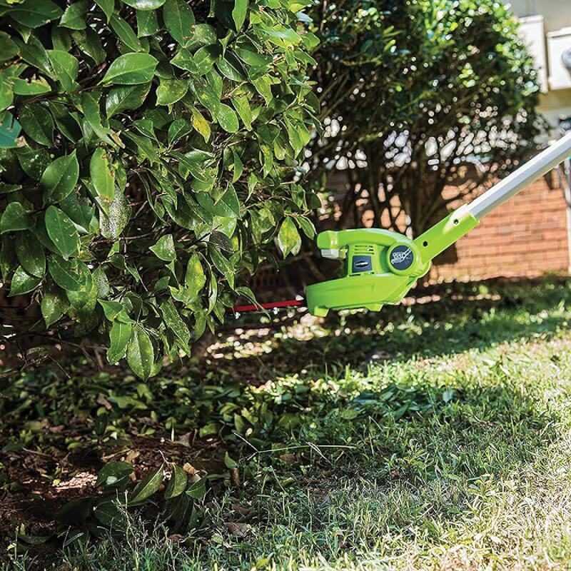 Scie à perche 40 V, 8 pouces avec accessoire taille-haie, batterie 2,0 Ah et chargeur inclus