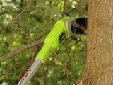 Greenworks 6.5 Amp 8" Corded Pole Saw