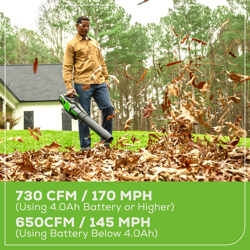 80V 730 CFM - 170 MPH Brushless Leaf Blower (Tool Only) BL80L02