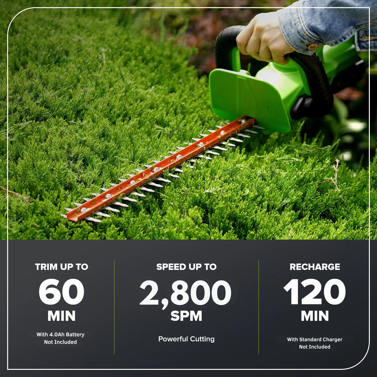 24V 22" Laser Cut Hedge Trimmer (Tool Only)