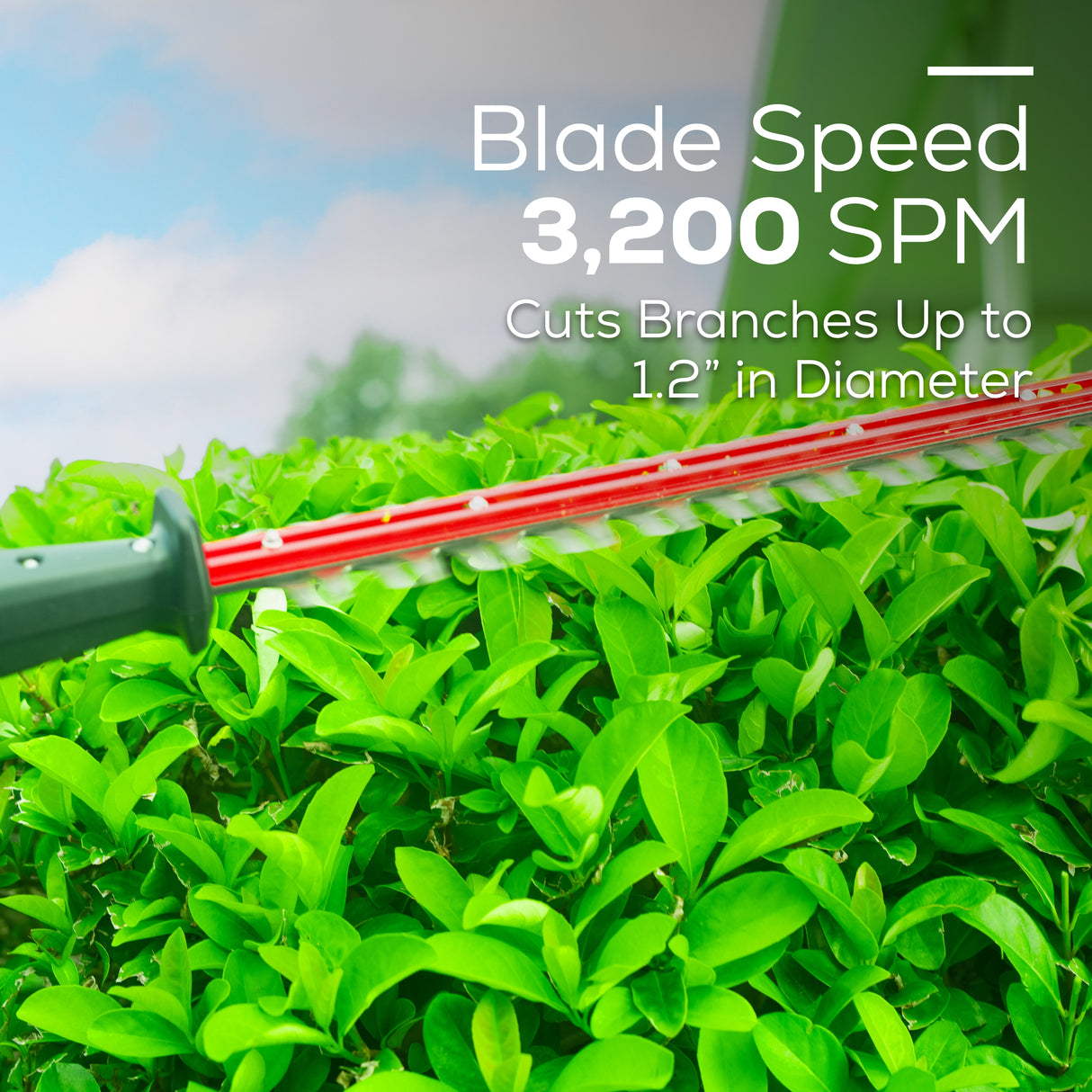 Taille-haie à perche 80 V, 20 pouces (Outil seulement)