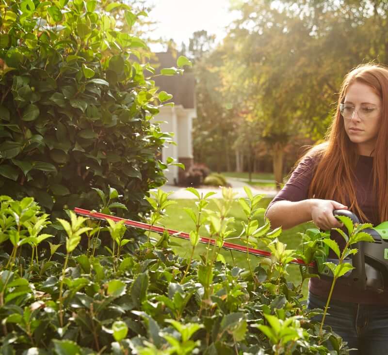 80V 26'' Brushless Hedge Trimmer (Tool Only)
