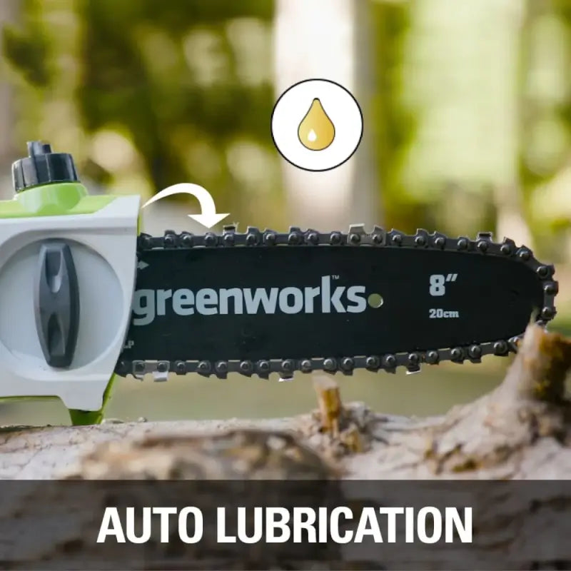 Scie à perche 24 V, 8 pouces avec accessoire taille-haie 24 V, 20 pouces, batterie USB 2,0 Ah et chargeur inclus