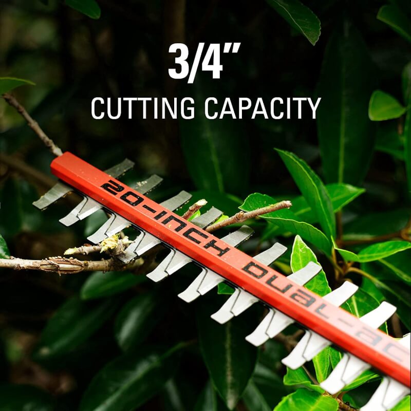 80V 20" Pole Hedge Trimmer (Tool Only)
