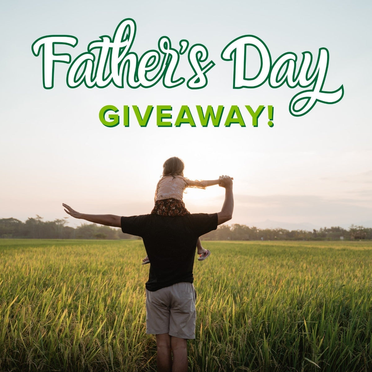 Celebrate Dad’s Hard Work with a Greenworks Father’s Day Special Gifts ...