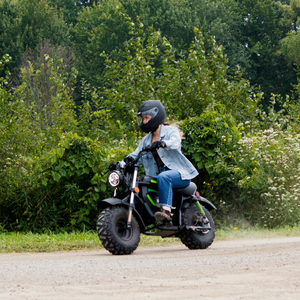 Electric Bikes