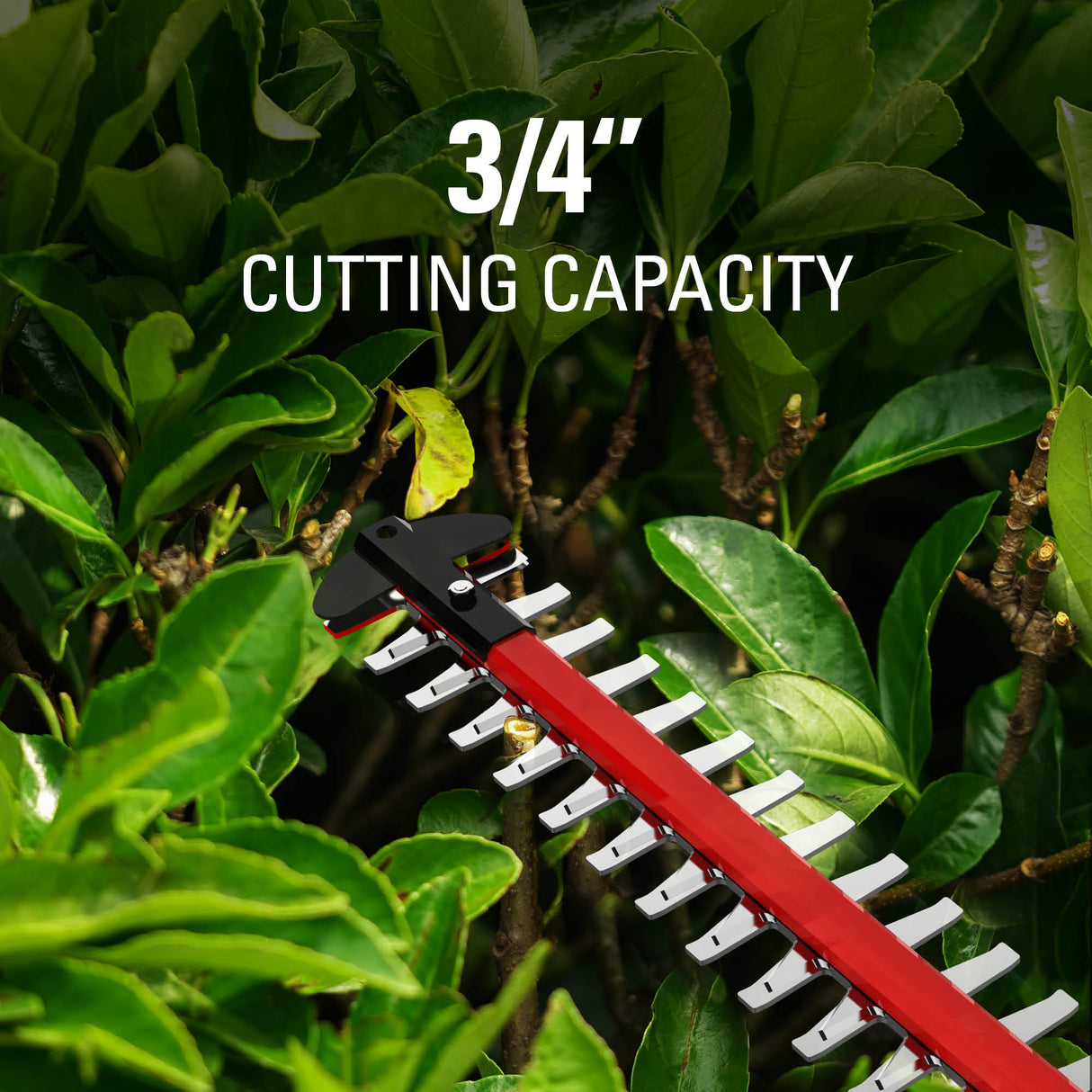 80V 26" Hedge Trimmer (Tool Only) - GHT80320
