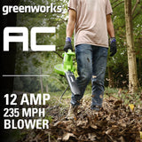 12 Amp Corded 380 CFM Leaf Blower / Vacuum