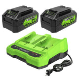Greenworks 24V 4.0Ah USB Battery (2-Pack) Starter Kit and Dual Port Rapid Charger