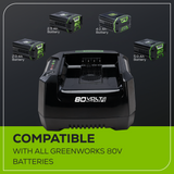 80V 6 Amp Rapid Charger