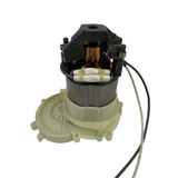 Moteur de scie à chaîne