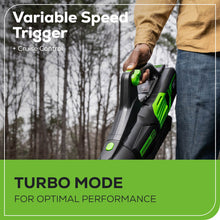 将图片加载到图库查看器，80V 730 CFM Brushless Cordless Leaf Blower with Shoulder Strap, Tool Only
