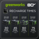 80V 6 Amp Rapid Charger