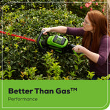 Batterie lithium-ion 80 V, 2,5 Ah