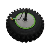 Left Wheel Hub Motor Assembly