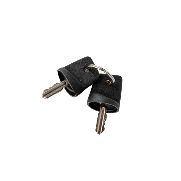 2 Pack Safety Keys – Greenworks Tools Canada Inc.
