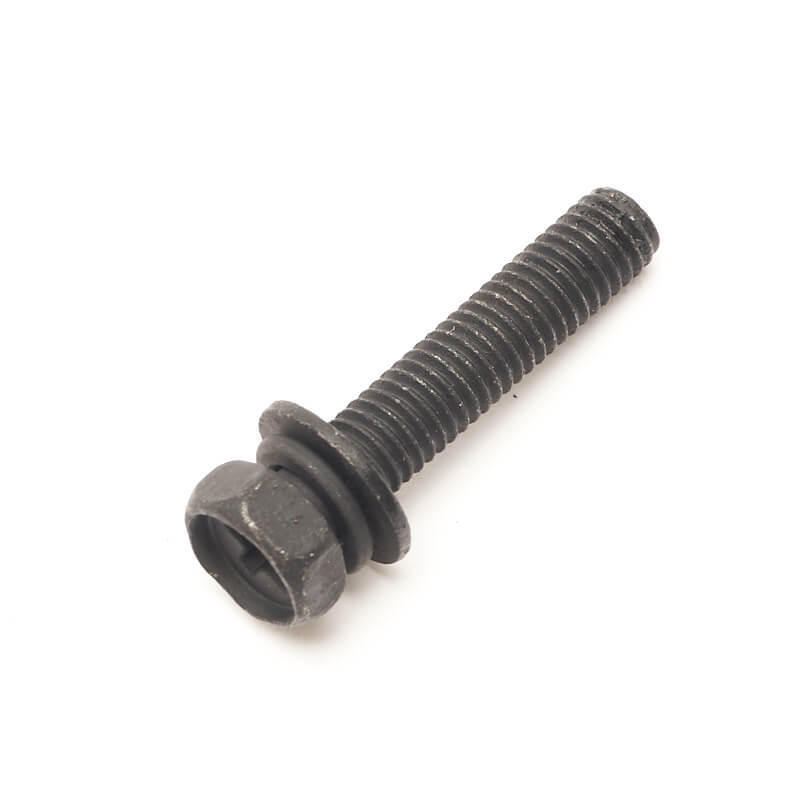 Screw and Washer Assembly